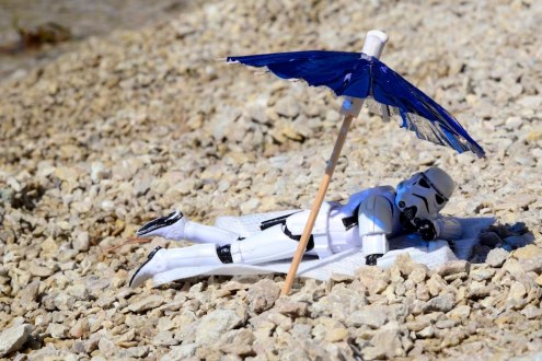 5919716290_0fee65e5a4_o