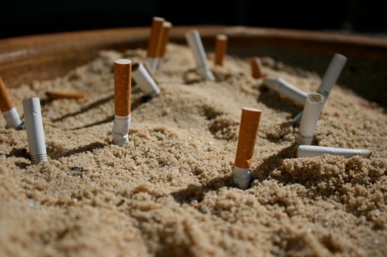 2564308037_a005771e14_b