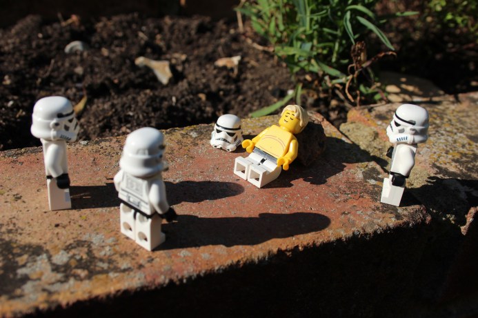 7653012036_2b314d4018_k