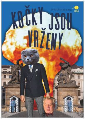 20628961_10155675457749743_2015498696_o